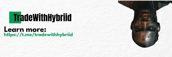 HybriidTrader Profile Banner