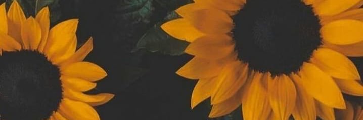 amaliaafifa's profile banner image