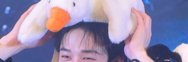 quackchannie Profile Banner