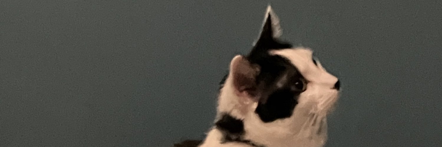 K Ferdinand ✝️ banner