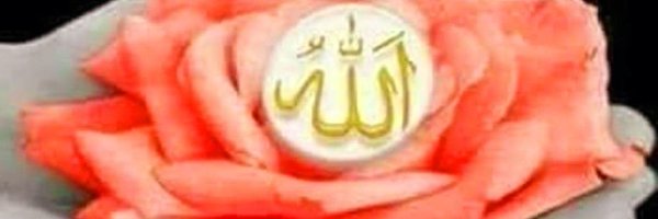 gez83662 Profile Banner