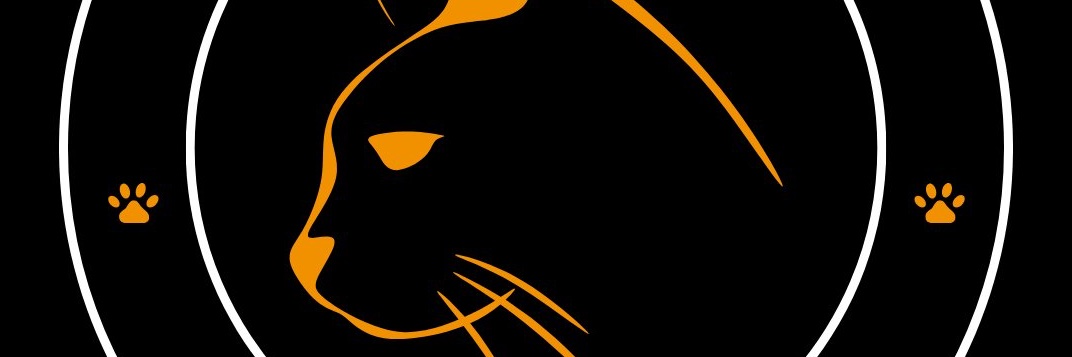 CAT Protocol's banner