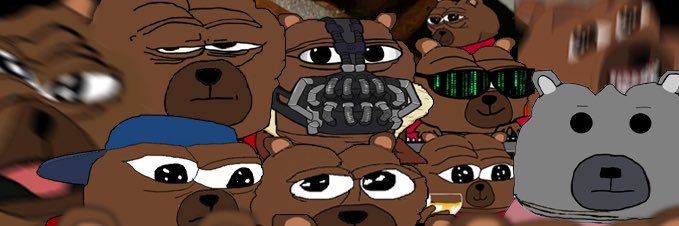 stillbearish's profile banner image