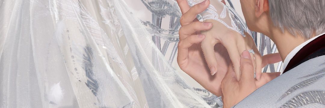 lively vel banner