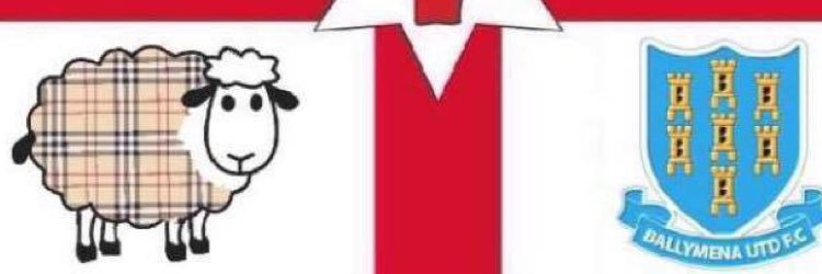 DAVID A Brown banner