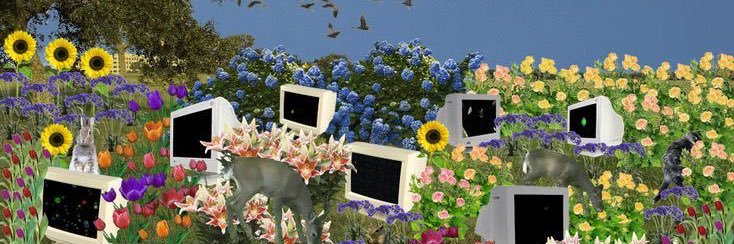 Anemoiasound's profile banner image