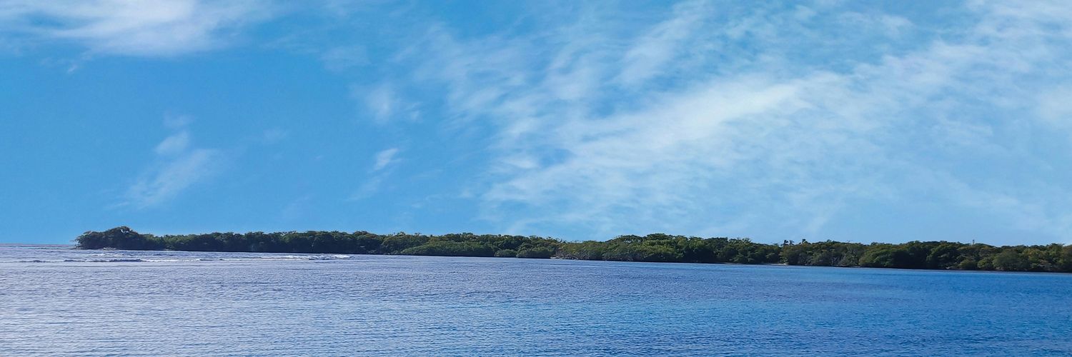 Susej❤️ banner