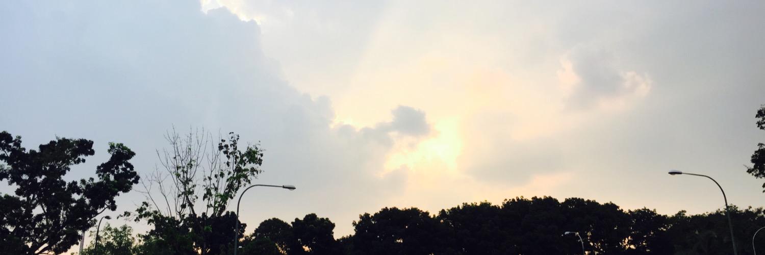 Tiffyyi's profile banner image