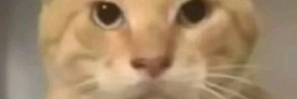 vex123456qwq Profile Banner