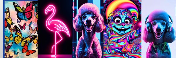 RodashStudio Profile Banner