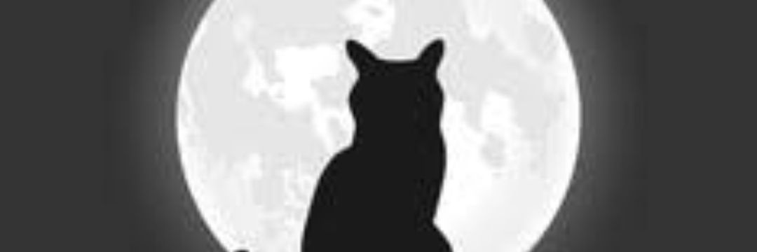 nikobotineko's profile banner image