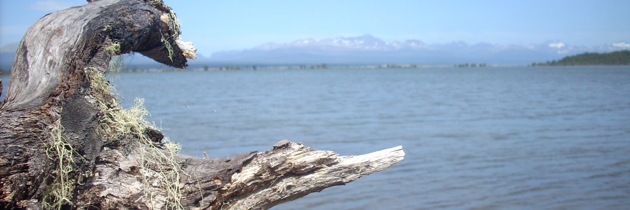 FranIanni's profile banner image