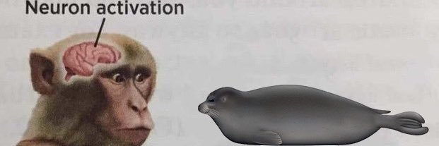 amy🦭's banner