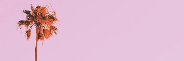 chrislederle's profile banner image