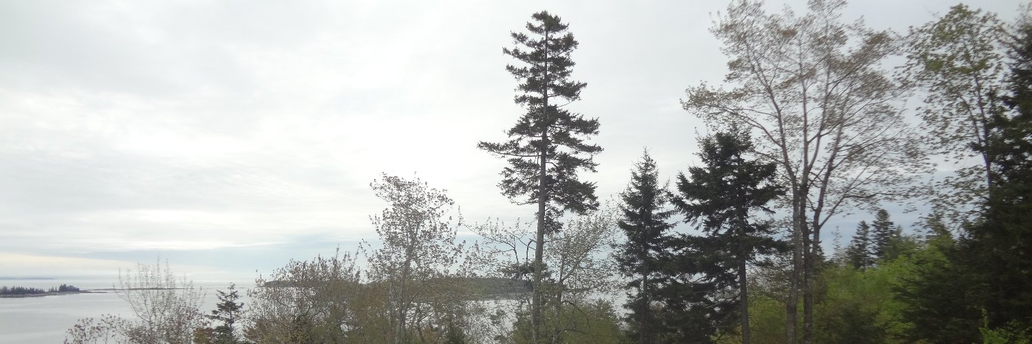 LisaSuhr's profile banner image
