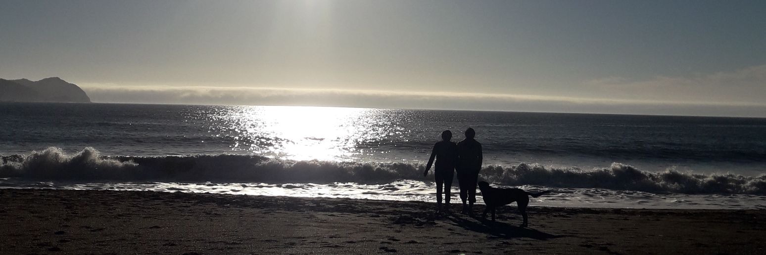 Cindynero's profile banner image