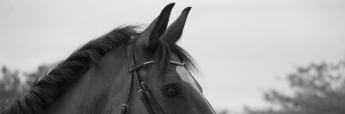 taniaametller's profile banner image
