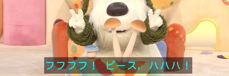🐰 banner