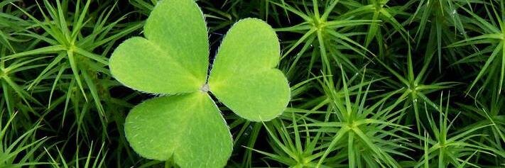 @misterscience@mastodon.world banner