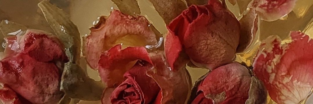 sulepskn's profile banner image
