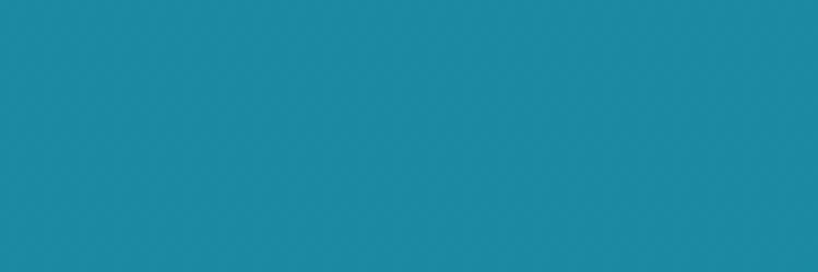 wami banner