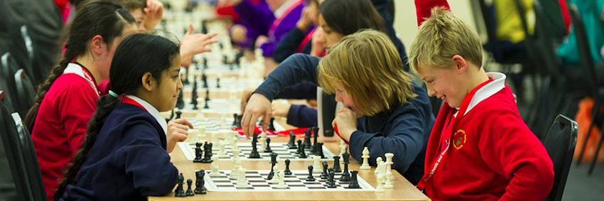 Chess in Schools and Communities's banner