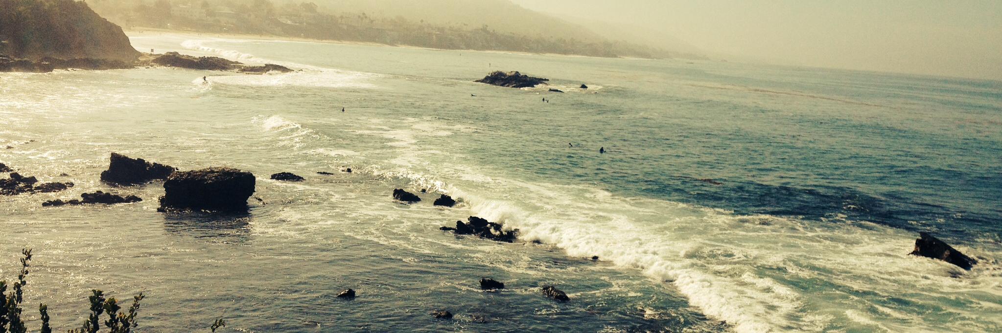 Stephanie Goodman banner