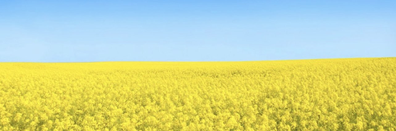 PrairieDawn67's profile banner image