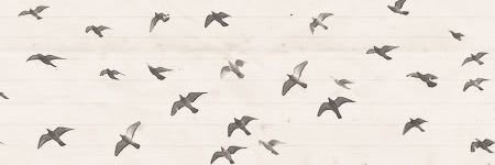 cris_tg's profile banner image