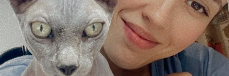 Gloecdl's profile banner image