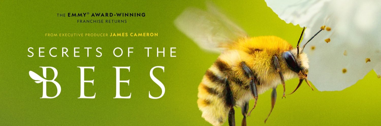 National Geographic TV banner