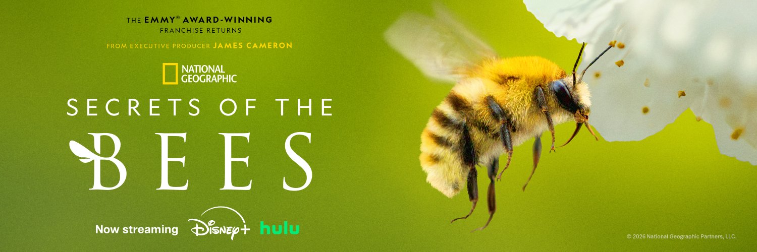 National Geographic TV banner