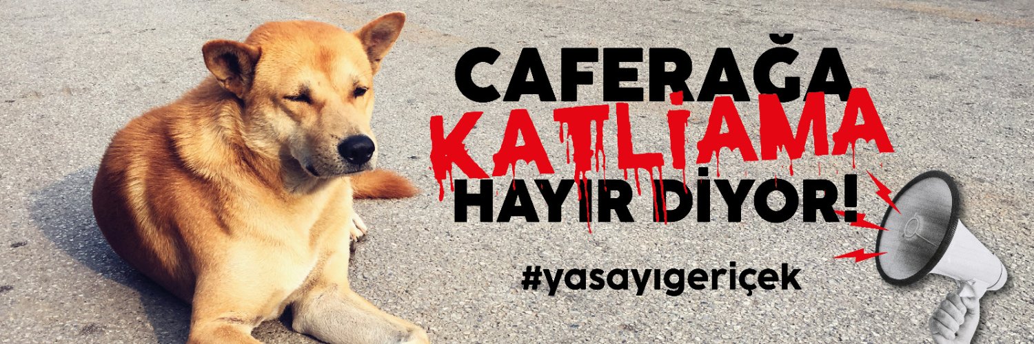 Caferağa Mahallesi Hayvan Dostları 🐾 banner