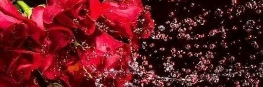 شيماء's banner