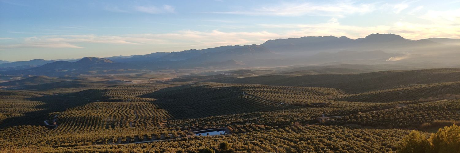 Fran Lozano Blanco banner