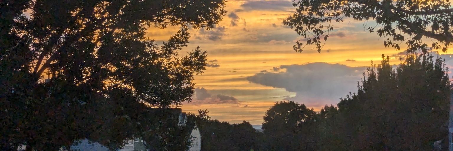 notallwhowander707 banner