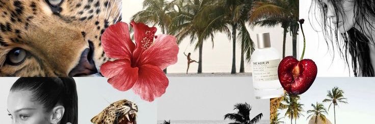 cerenscofield's profile banner image