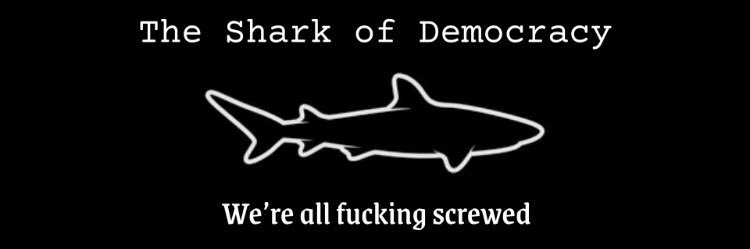 Democracy🗳Shark🦈 banner