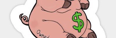 Real Paypiggy banner