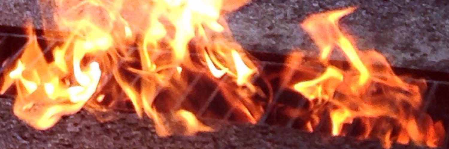 Sofie Elana Hodara banner