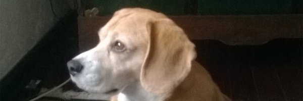 Mighty_max69 Profile Banner