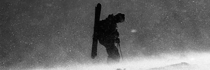 Firefly 𓆩𓆪 banner