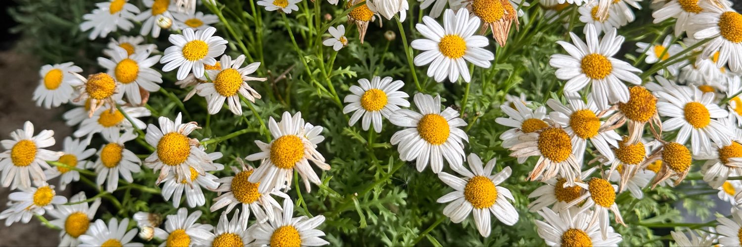 _aimee_7's profile banner image
