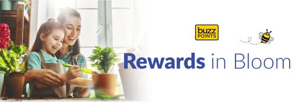 BuzzPoints Profile Banner