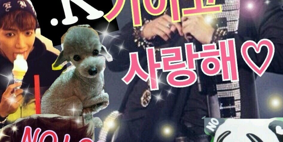 きーこ banner