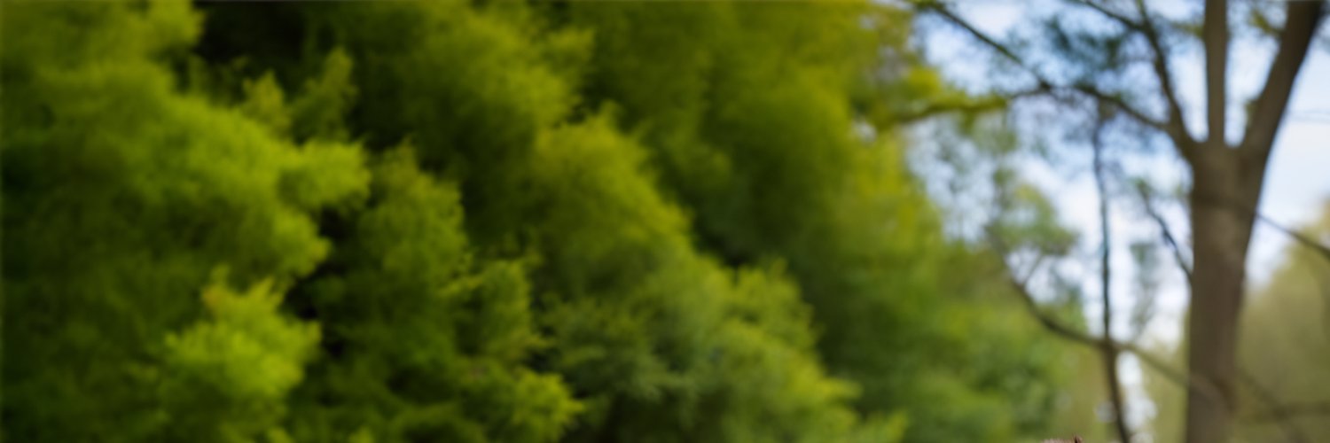 Twitter banner for @Miyou