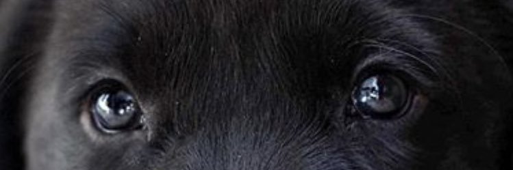 DannyWitters's profile banner image