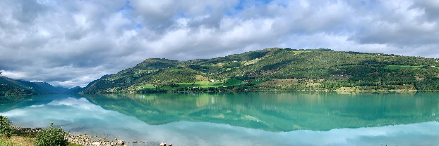 Edzard Höfig banner