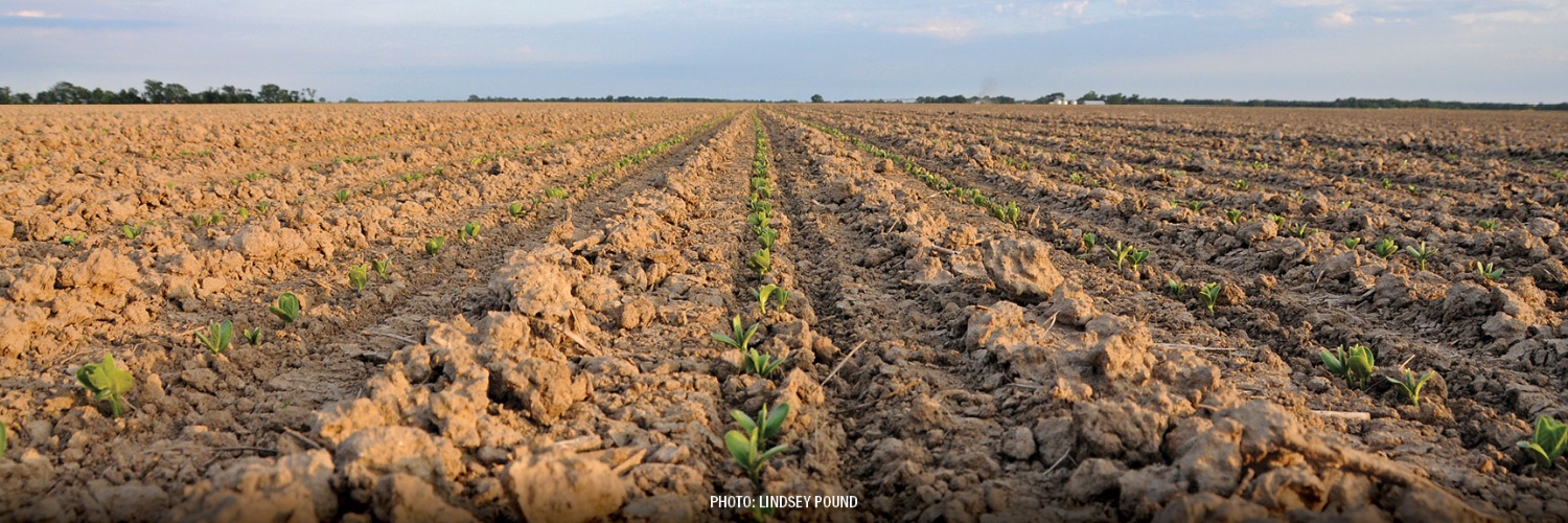 AgWeb Editors banner