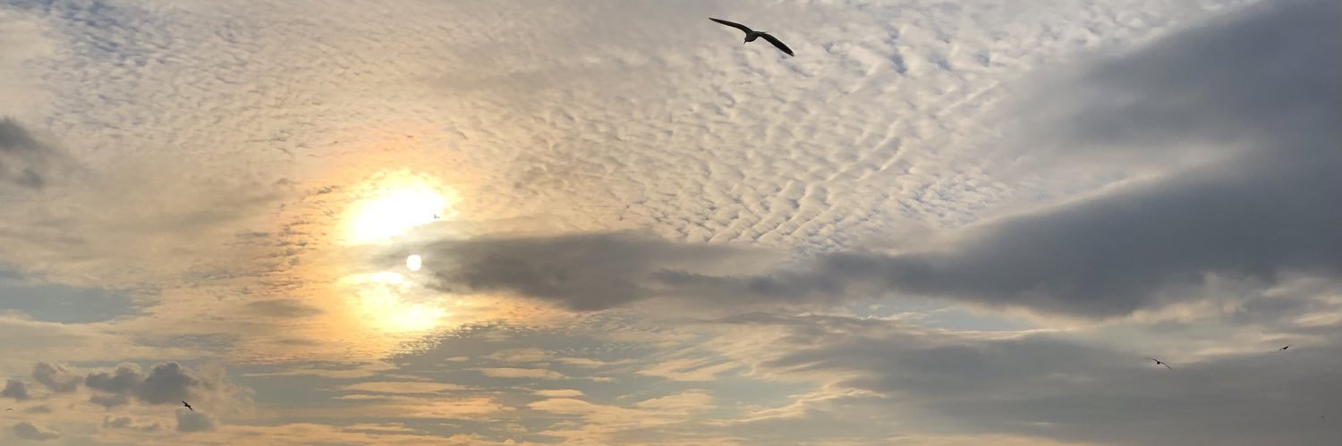 Özlem Çelik banner
